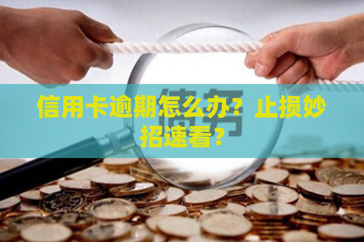 信用卡逾期怎么办？止损妙招速看？