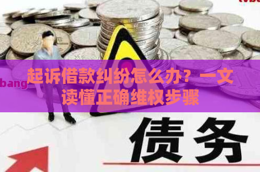 起诉借款纠纷怎么办？一文读懂正确维权步骤